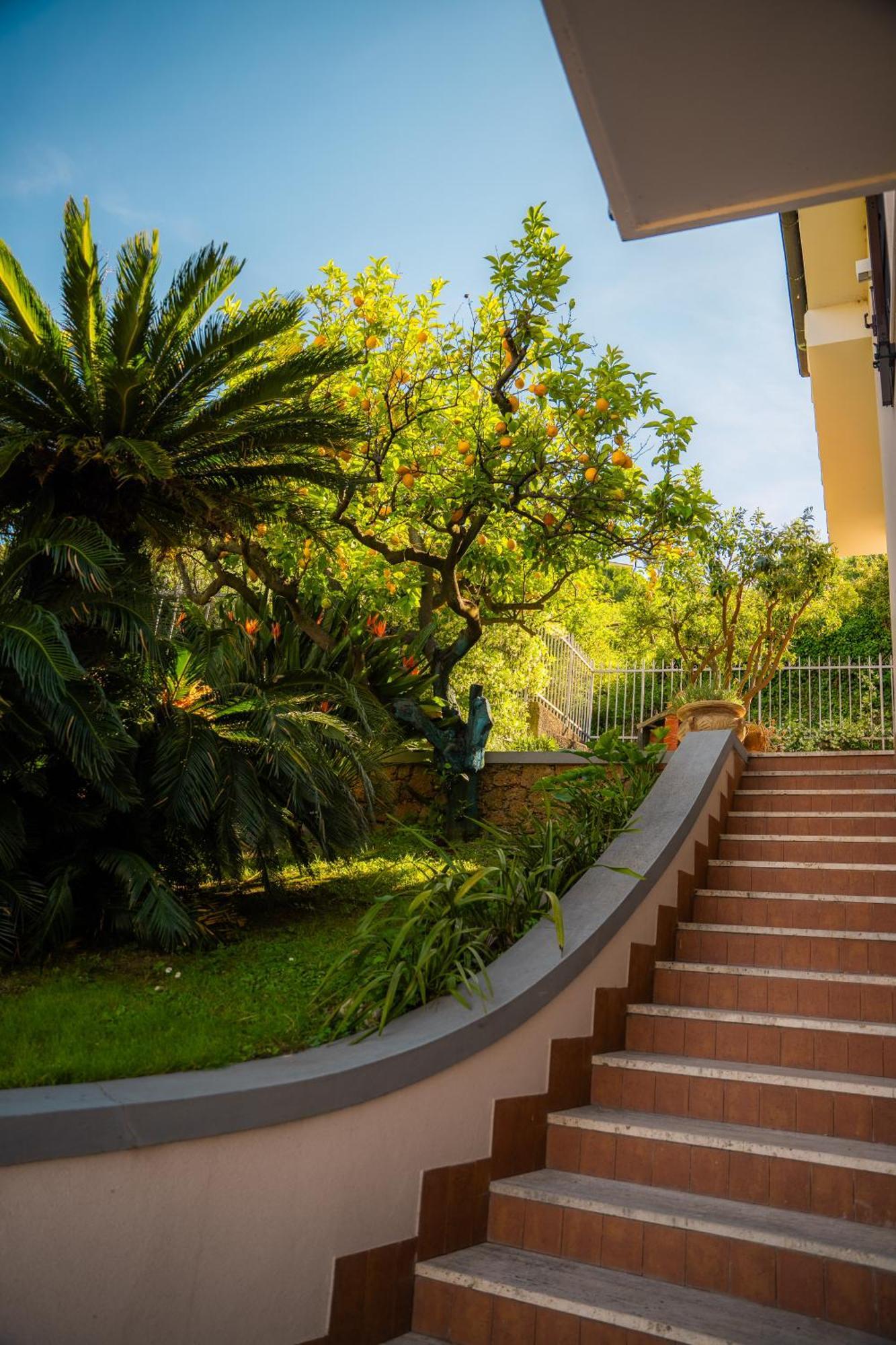Villa Mafalda Pietra Ligure Esterno foto
