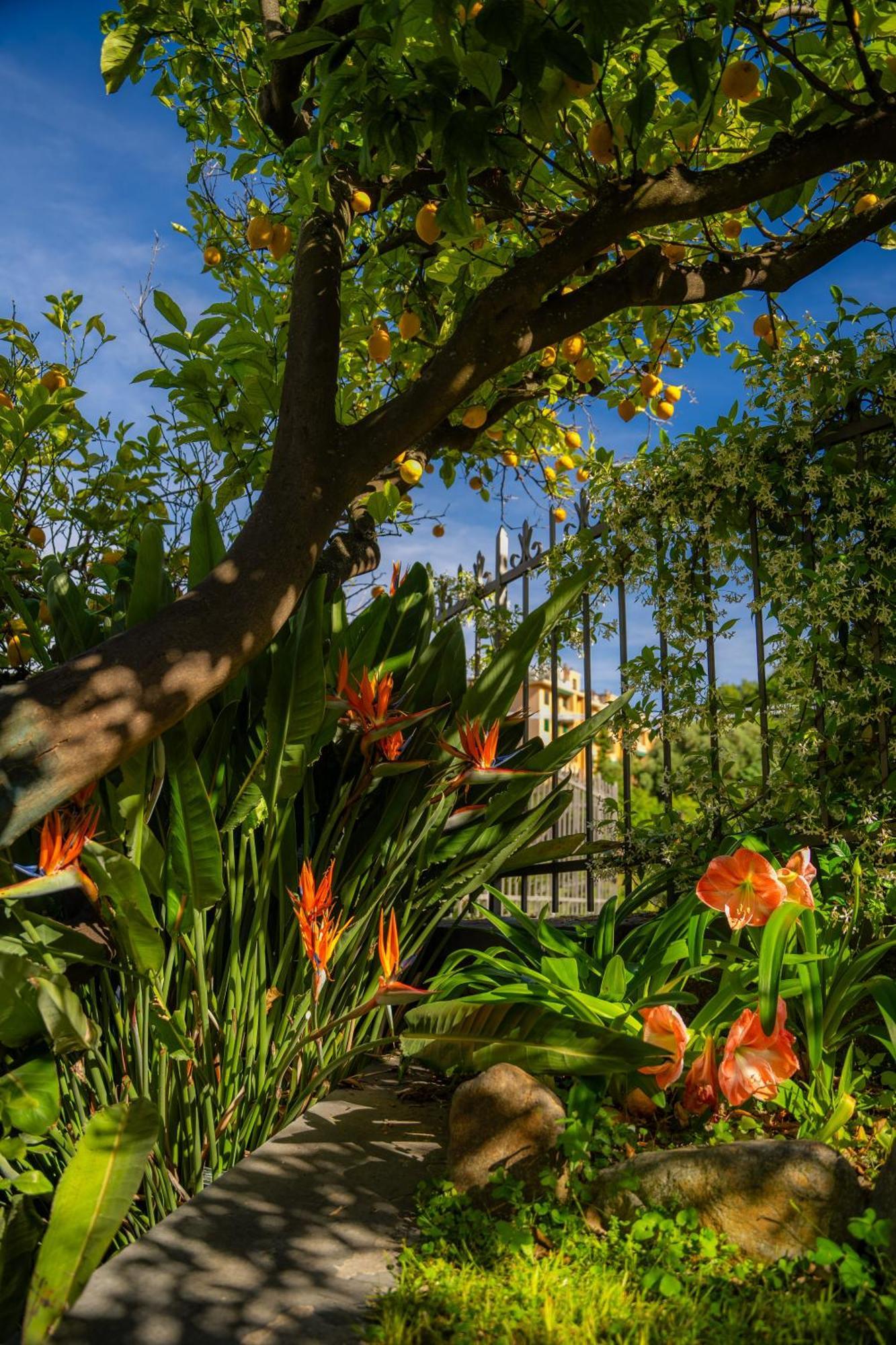 Villa Mafalda Pietra Ligure Esterno foto
